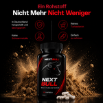 NEXTBULL | MAX TURKESTERON